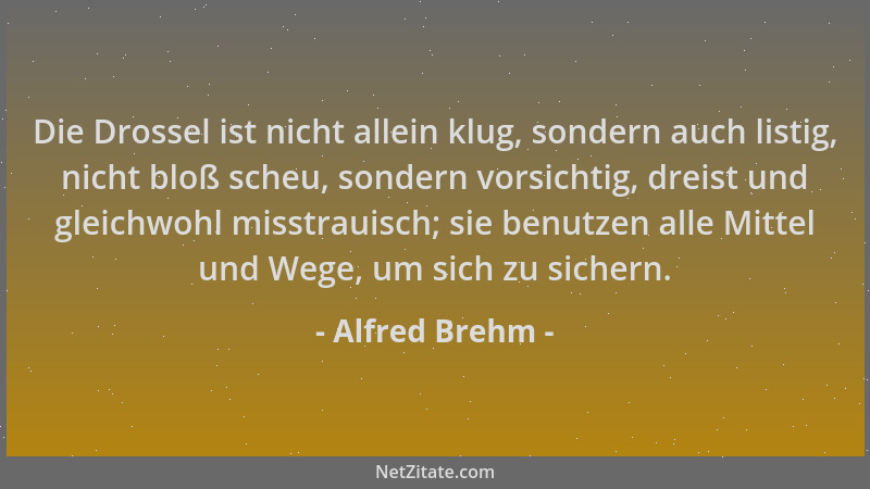 Alfred Brehm - Die Drossel ist nicht allein klug, sondern auch listig, nicht bloß scheu, sondern vorsichtig, dreist und gle...