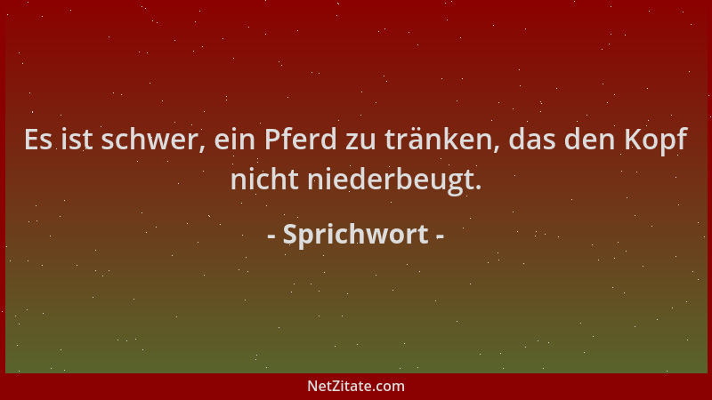 Sprichwort - Es ist schwer, ein Pferd zu tränken, das den Kopf nicht niederbeugt....