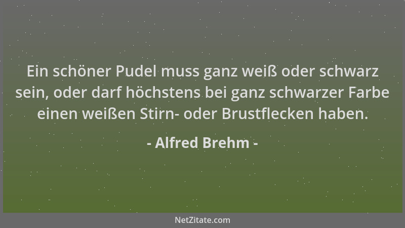 Alfred Brehm - Ein schöner Pudel muss ganz weiß oder schwarz sein, oder darf höchstens bei ganz schwarzer Farbe einen weiße...
