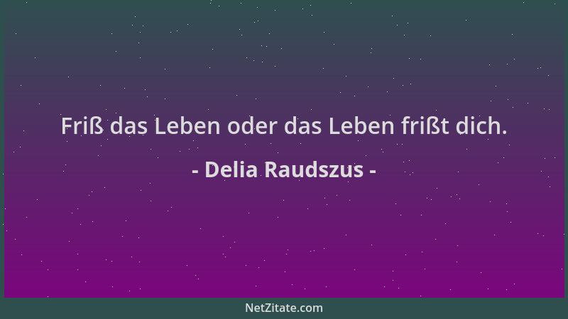 Delia Raudszus - Friß das Leben oder das Leben frißt dich....