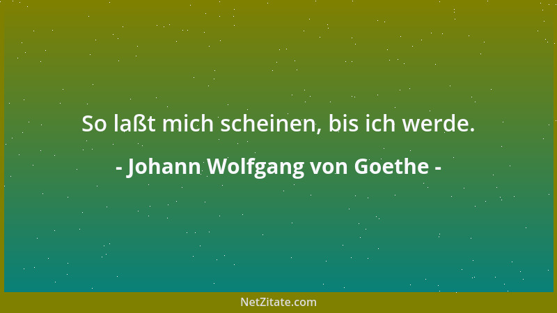 Johann Wolfgang von Goethe - Was man nicht liebt, kann man nicht machen....