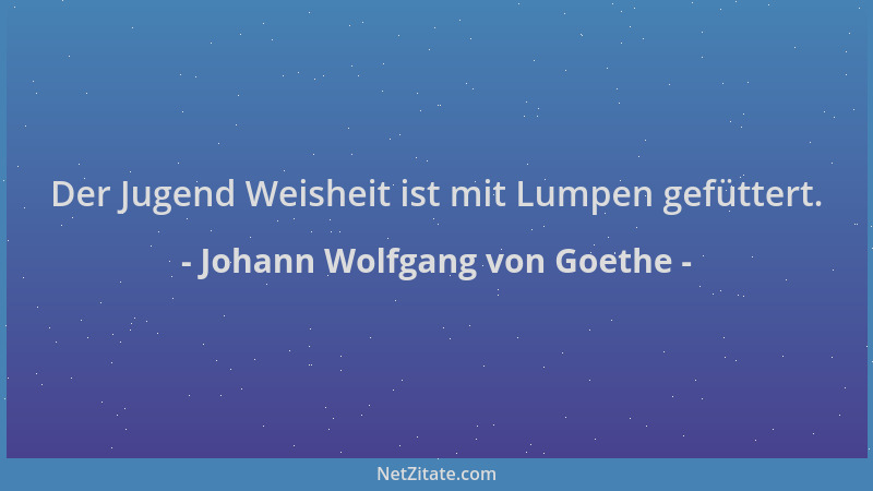 Johann Wolfgang von Goethe - Der Jugend Weisheit ist mit Lumpen gefüttert....