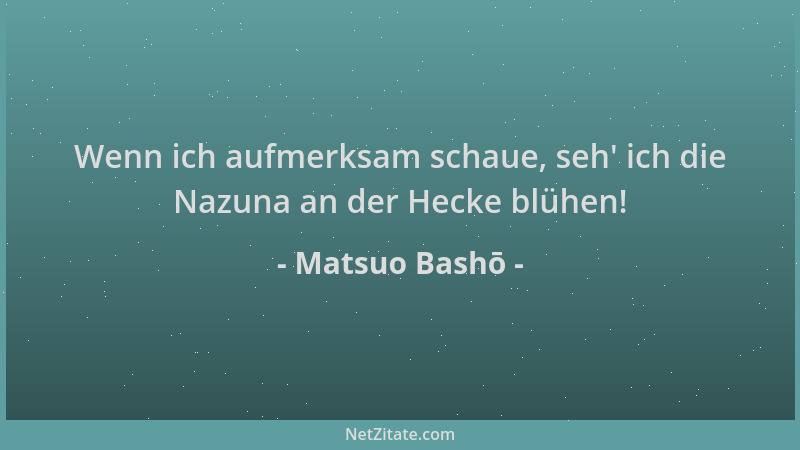 Matsuo Bashō - Wenn ich aufmerksam schaue, seh ' ich die Nazuna an der Hecke blühen!...