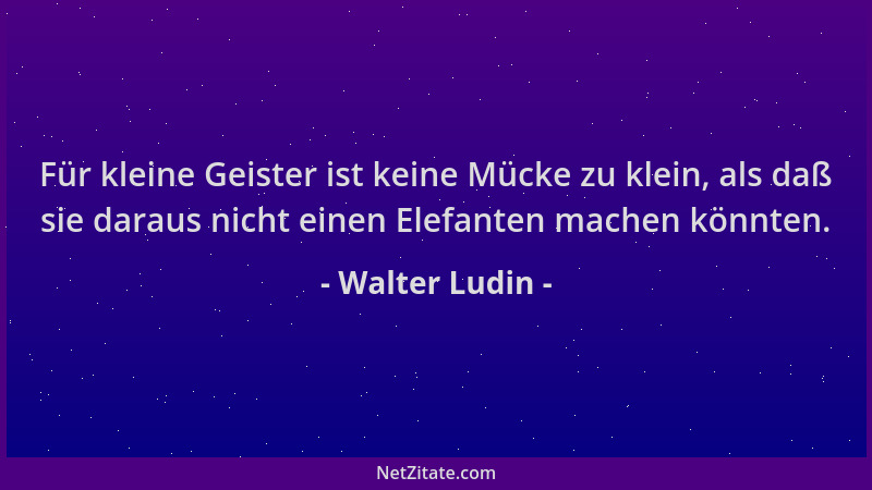 Walter Ludin - Für kleine Geister ist keine Mücke zu klein, als daß sie daraus nicht einen Elefanten machen könnten....