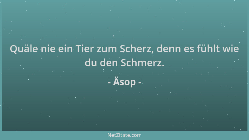 Äsop - Quäle nie ein Tier zum Scherz, denn es fühlt wie du den Schmerz....