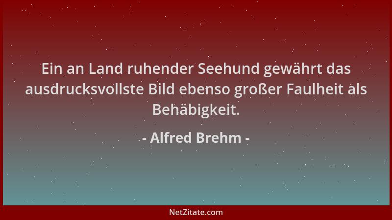 Alfred Brehm - Ein an Land ruhender Seehund gewährt das ausdrucksvollste Bild ebenso großer Faulheit als Behäbigkeit....