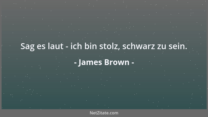 James Brown - Sag es laut - ich bin stolz, schwarz zu sein....