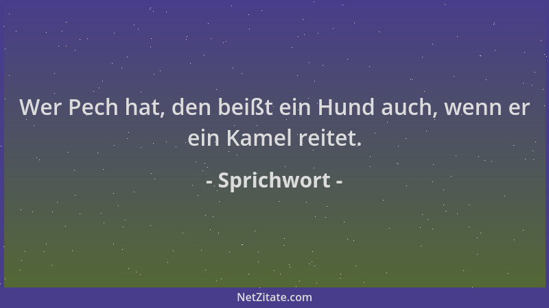 Sprichwort - Wer Pech hat, den beißt ein Hund auch, wenn er ein Kamel reitet....