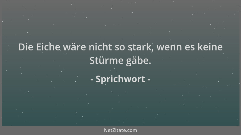 Sprichwort - Die Eiche wäre nicht so stark, wenn es keine Stürme gäbe....