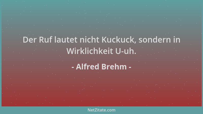 Alfred Brehm - Der Ruf lautet nicht Kuckuck, sondern in Wirklichkeit U-uh....