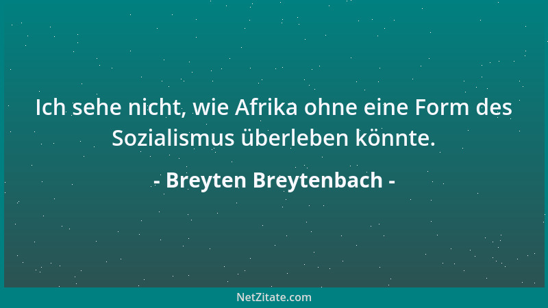 Breyten Breytenbach - Ich sehe nicht, wie Afrika ohne eine Form des Sozialismus überleben könnte....