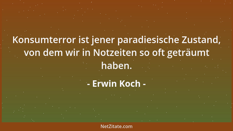 Erwin Koch - In der medialen Reizüberflutung ertrinken selbst die besten Gedanken....