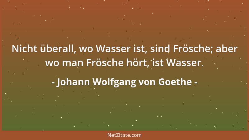 Johann Wolfgang von Goethe - Wenn man ins Wasser kommt, lernt man schwimmen....