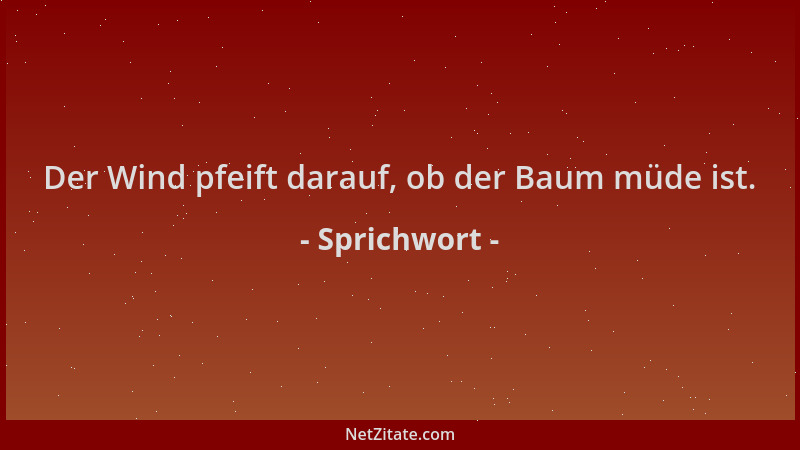 Sprichwort - Der Wind pfeift darauf, ob der Baum müde ist....