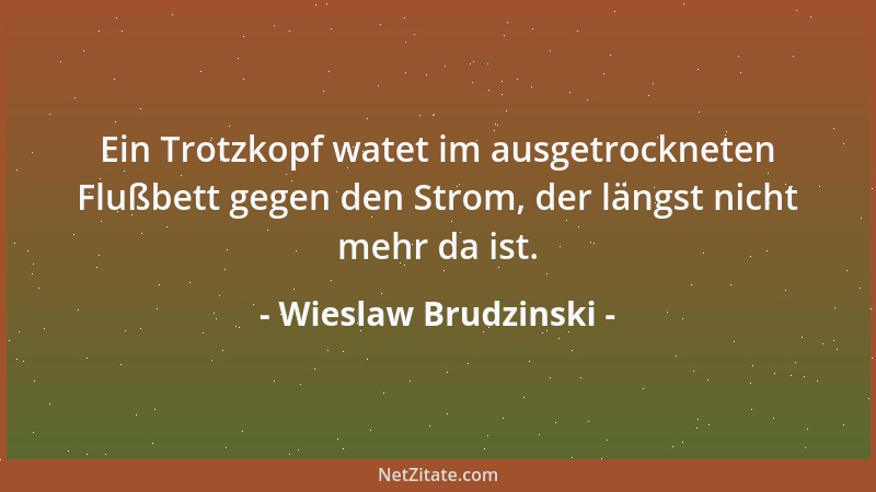 Wieslaw Brudzinski - Der Verstand sieht jeden Unsinn, die Vernunft rät, manches davon zu übersehen....
