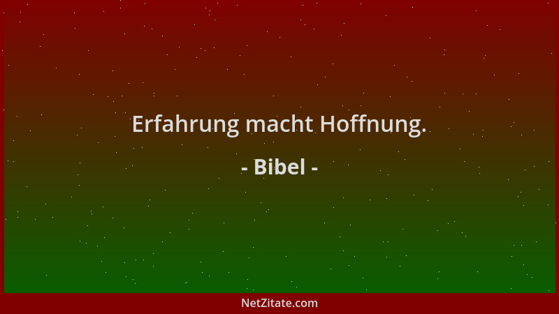 Bibel - Erfahrung macht Hoffnung....