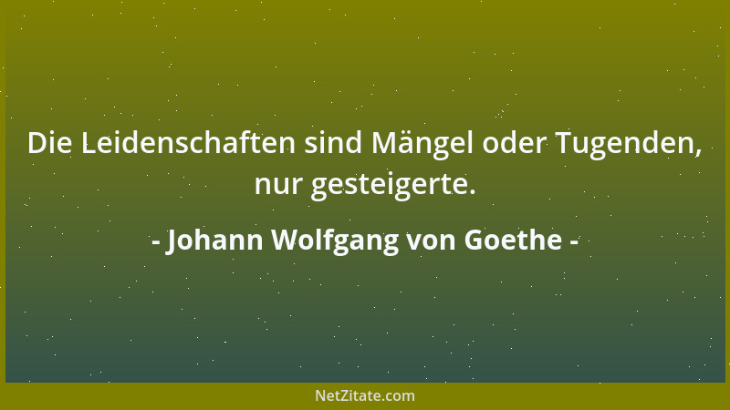 Johann Wolfgang von Goethe - Kann uns zum Vaterland die Fremde werden?...