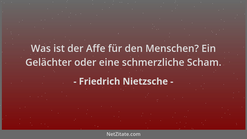 Friedrich Nietzsche - Was ist der Affe für den Menschen? Ein Gelächter oder eine schmerzliche Scham....