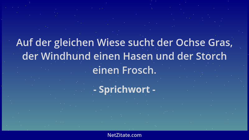 Sprichwort - Auf der gleichen Wiese sucht der Ochse Gras, der Windhund einen Hasen und der Storch einen Frosch....