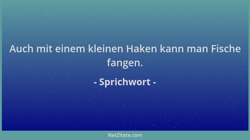 Sprichwort - Auch mit einem kleinen Haken kann man Fische fangen....