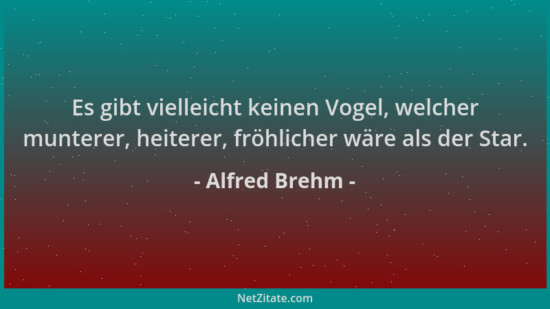 Alfred Brehm - Es gibt vielleicht keinen Vogel, welcher munterer, heiterer, fröhlicher wäre als der Star....