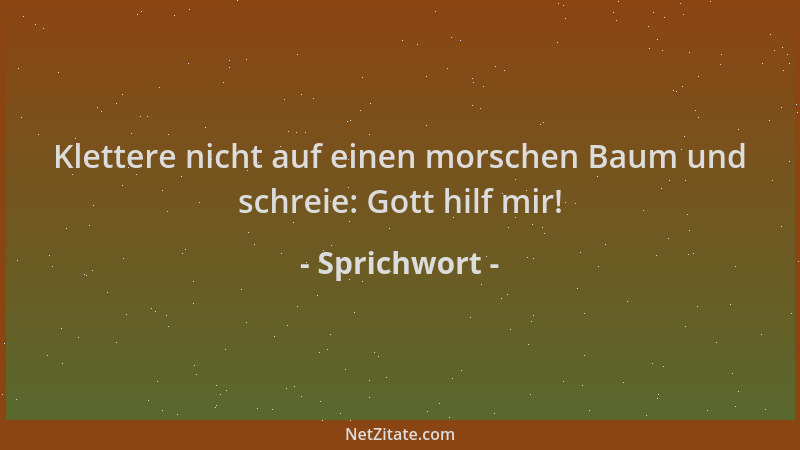 Sprichwort - Klettere nicht auf einen morschen Baum und schreie: Gott hilf mir!...