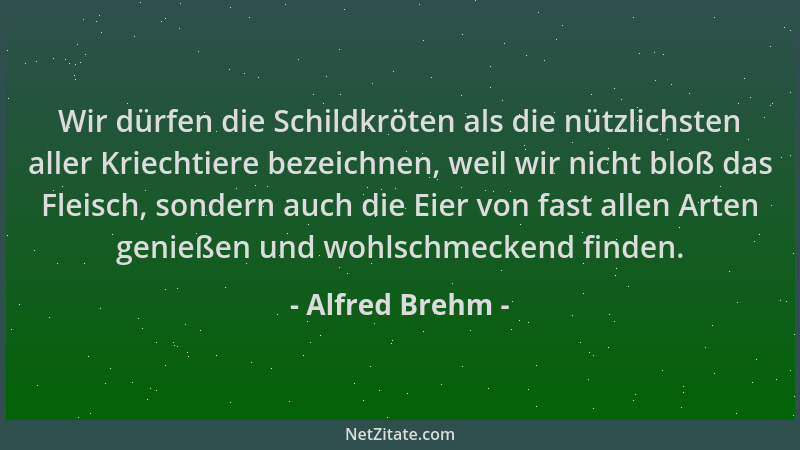 Alfred Brehm - Wir dürfen die Schildkröten als die nützlichsten aller Kriechtiere bezeichnen, weil wir nicht bloß das Fleis...