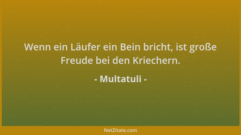 Multatuli - Wenn ein Läufer ein Bein bricht, ist große Freude bei den Kriechern....
