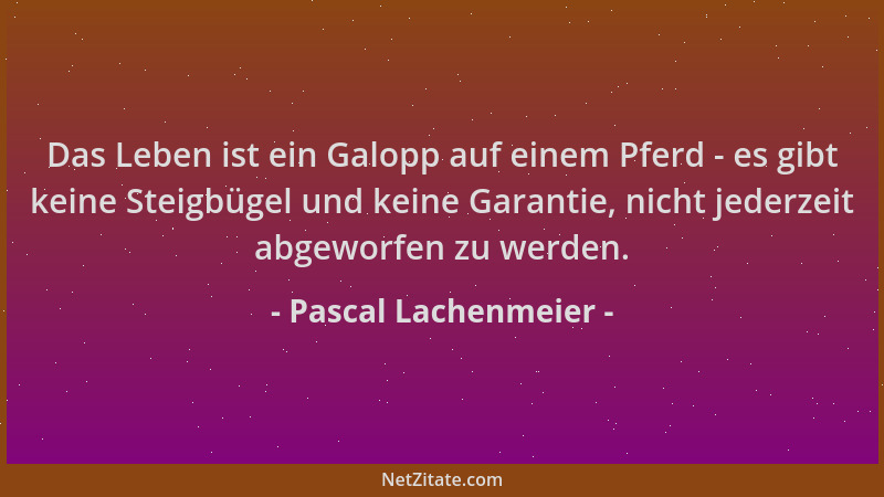 Pascal Lachenmeier - Das Leben ist ein Galopp auf einem Pferd - es gibt keine Steigbügel und keine Garantie, nicht jederzei...