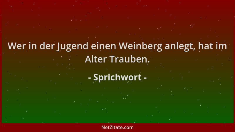 Sprichwort - Wer in der Jugend einen Weinberg anlegt, hat im Alter Trauben....