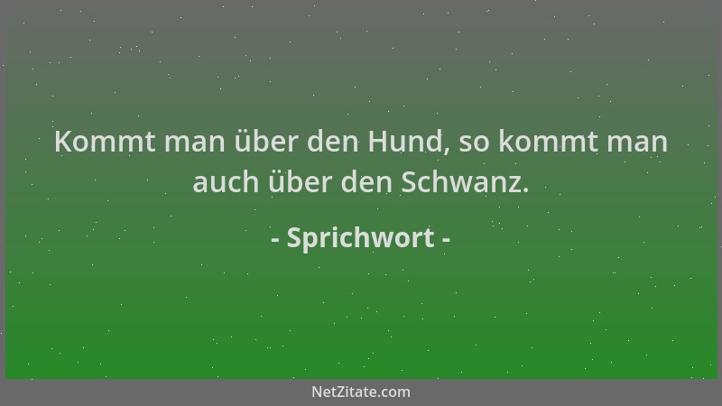 Sprichwort - Kommt man über den Hund, so kommt man auch über den Schwanz....