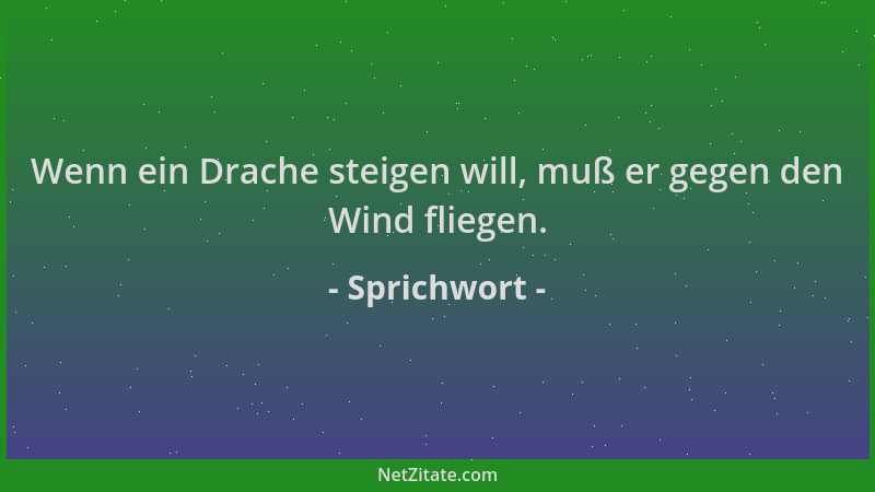 Sprichwort - Wenn ein Drache steigen will, muß er gegen den Wind fliegen....
