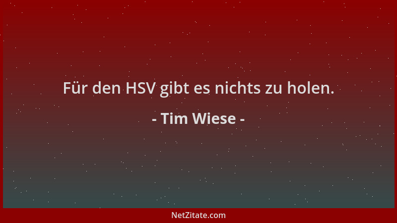 Tim Wiese - Für den HSV gibt es nichts zu holen....