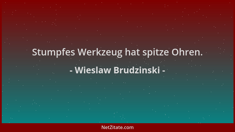 Wieslaw Brudzinski - Stumpfes Werkzeug hat spitze Ohren....