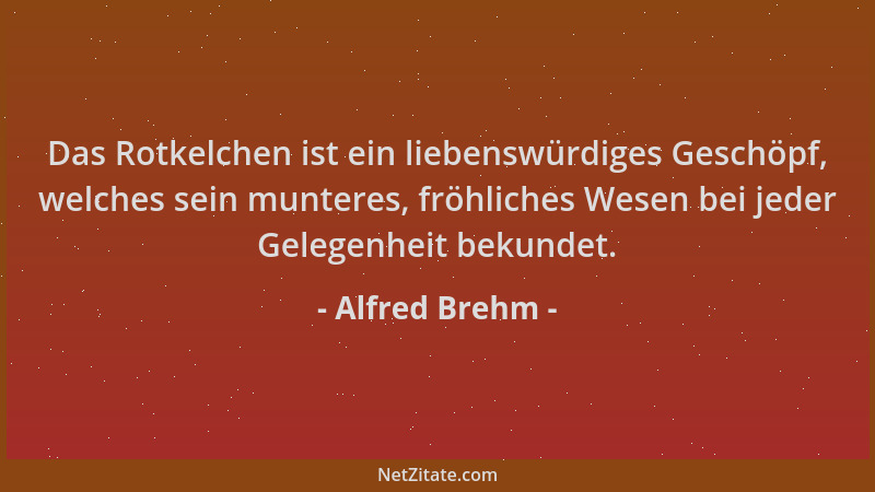 Alfred Brehm - Das Rotkelchen ist ein liebenswürdiges Geschöpf, welches sein munteres, fröhliches Wesen bei jeder Gelegenhe...