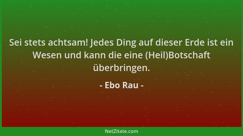 Ebo Rau - Sei stets achtsam! Jedes Ding auf dieser Erde ist ein Wesen und kann die eine (Heil)Botschaft überbringen....