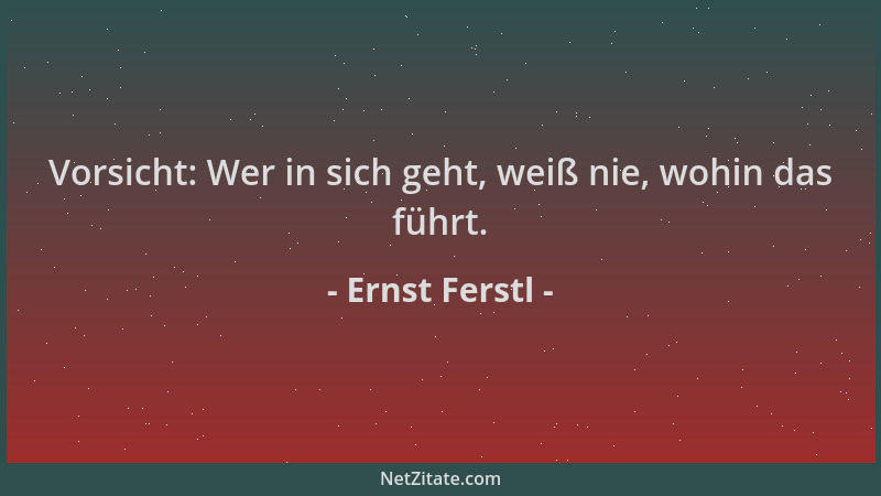 Ernst Ferstl - Vorsicht: Wer in sich geht, weiß nie, wohin das führt....