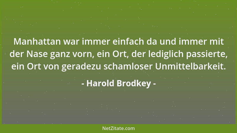 Harold Brodkey - Manhattan war immer einfach da und immer mit der Nase ganz vorn, ein Ort, der lediglich passierte, ein Ort...