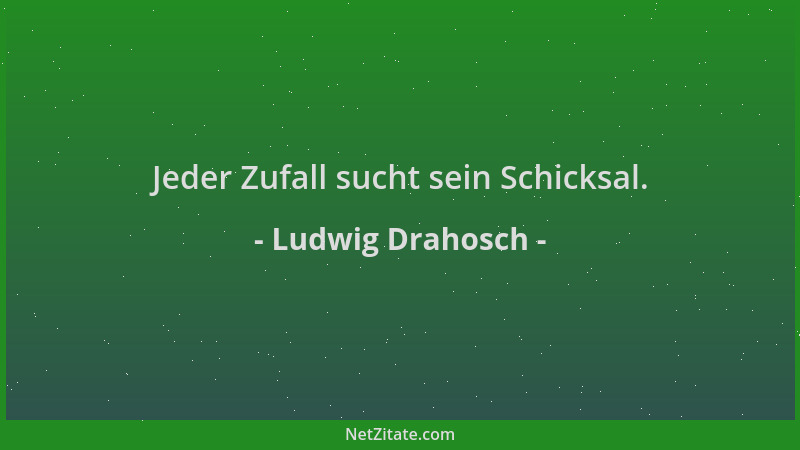 Ludwig Drahosch - Jeder Zufall sucht sein Schicksal....