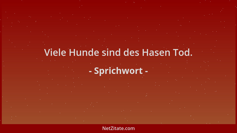 Sprichwort - Viele Hunde sind des Hasen Tod....