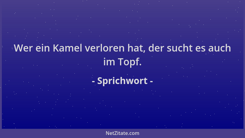 Sprichwort - Wer ein Kamel verloren hat, der sucht es auch im Topf....
