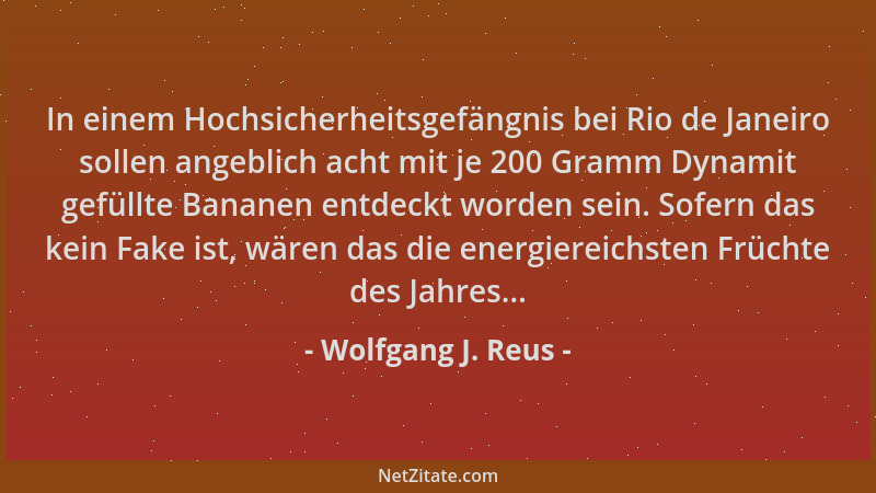 Wolfgang J. Reus - In einem Hochsicherheitsgefängnis bei Rio de Janeiro sollen angeblich acht mit je 200 Gramm Dynamit gefü...