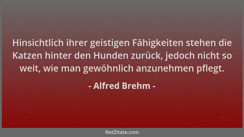 Alfred Brehm - Hinsichtlich ihrer geistigen Fähigkeiten stehen die Katzen hinter den Hunden zurück, jedoch nicht so weit, w...