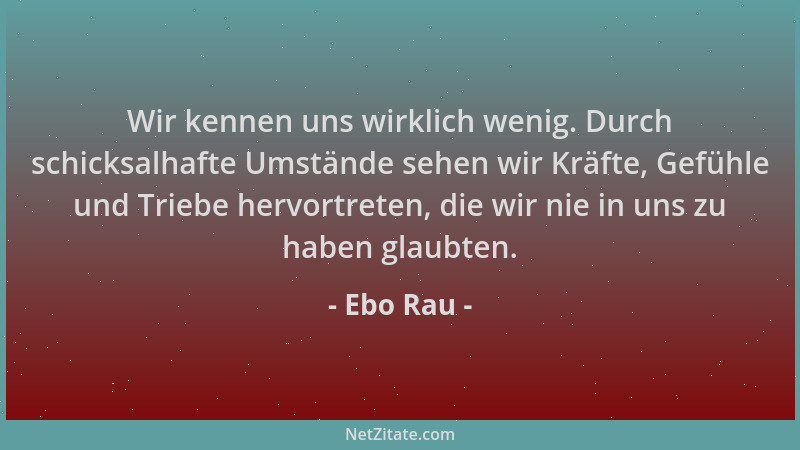 Ebo Rau - Wir kennen uns wirklich wenig. Durch schicksalhafte Umstände sehen wir Kräfte, Gefühle und Triebe hervortreten, d...