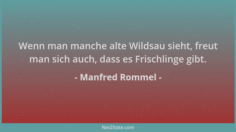 Manfred Rommel - Wenn man manche alte Wildsau sieht, freut man sich auch, dass es Frischlinge gibt....
