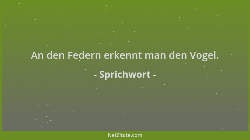 Sprichwort - An den Federn erkennt man den Vogel....