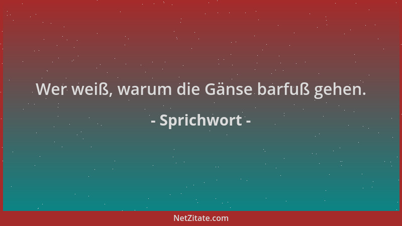 Sprichwort - Wer weiß, warum die Gänse barfuß gehen....