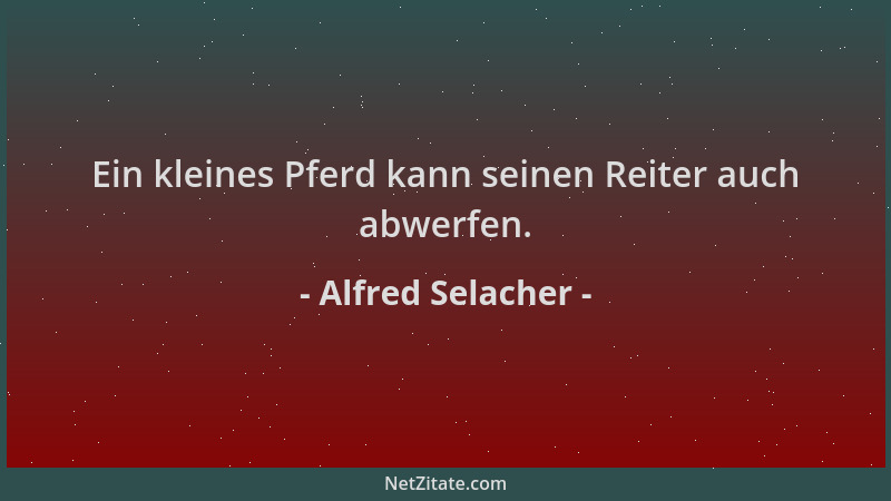 Alfred Selacher - Ein kleines Pferd kann seinen Reiter auch abwerfen....