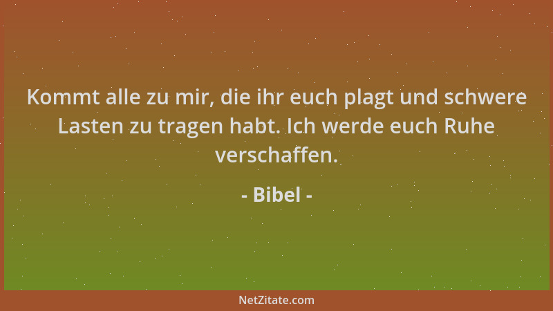 Bibel - Kommt alle zu mir, die ihr euch plagt und schwere Lasten zu tragen habt. Ich werde euch Ruhe verschaffen....