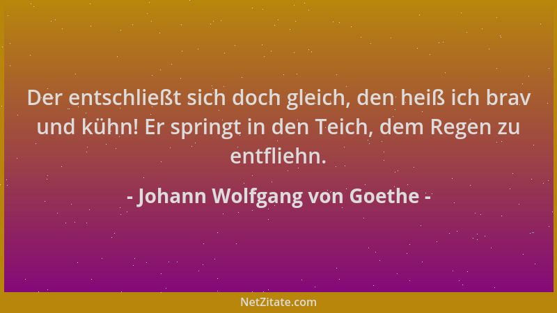 Johann Wolfgang von Goethe - Der entschließt sich doch gleich, den heiß ich brav und kühn! Er springt in den Teich, dem Reg...